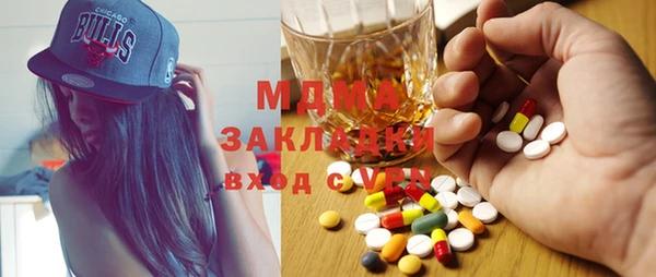 хмурый Алексин