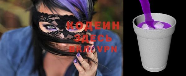 хмурый Алексин