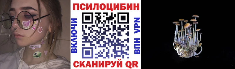 купить наркотики цена  Пласт  Галлюциногенные грибы GOLDEN TEACHER 