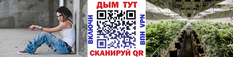 kraken как войти Пласт Конопля Bruce Banner
